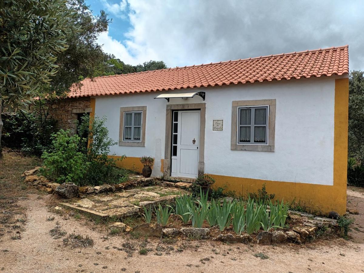 토마르 Casa Dos Terranhos 빌라 외부 사진