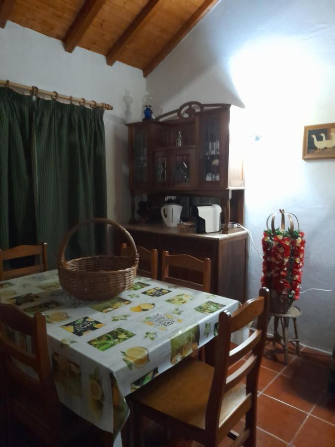 토마르 Casa Dos Terranhos 빌라 외부 사진