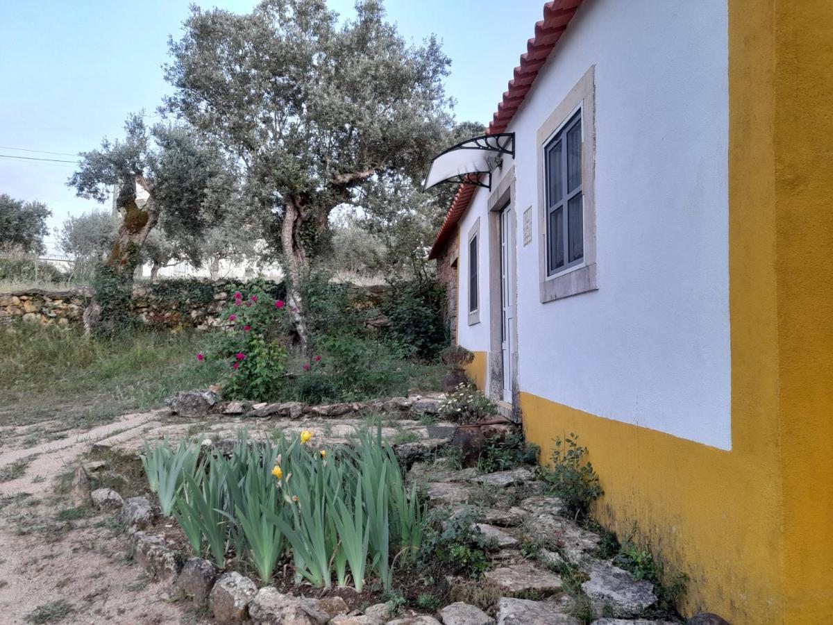 토마르 Casa Dos Terranhos 빌라 외부 사진