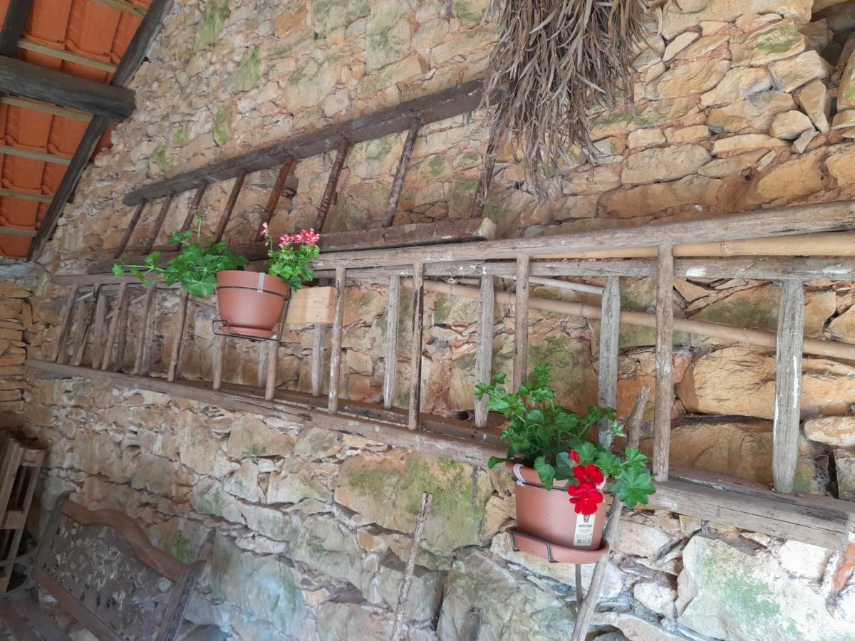 토마르 Casa Dos Terranhos 빌라 외부 사진